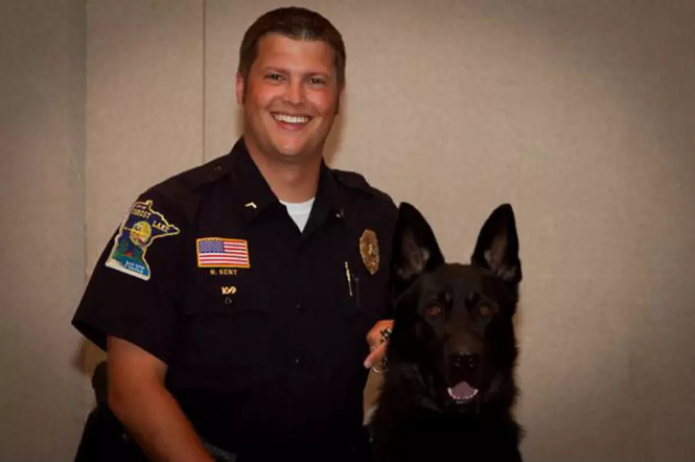 Forest Lake Police Dog Dies After Helping Make Arrest