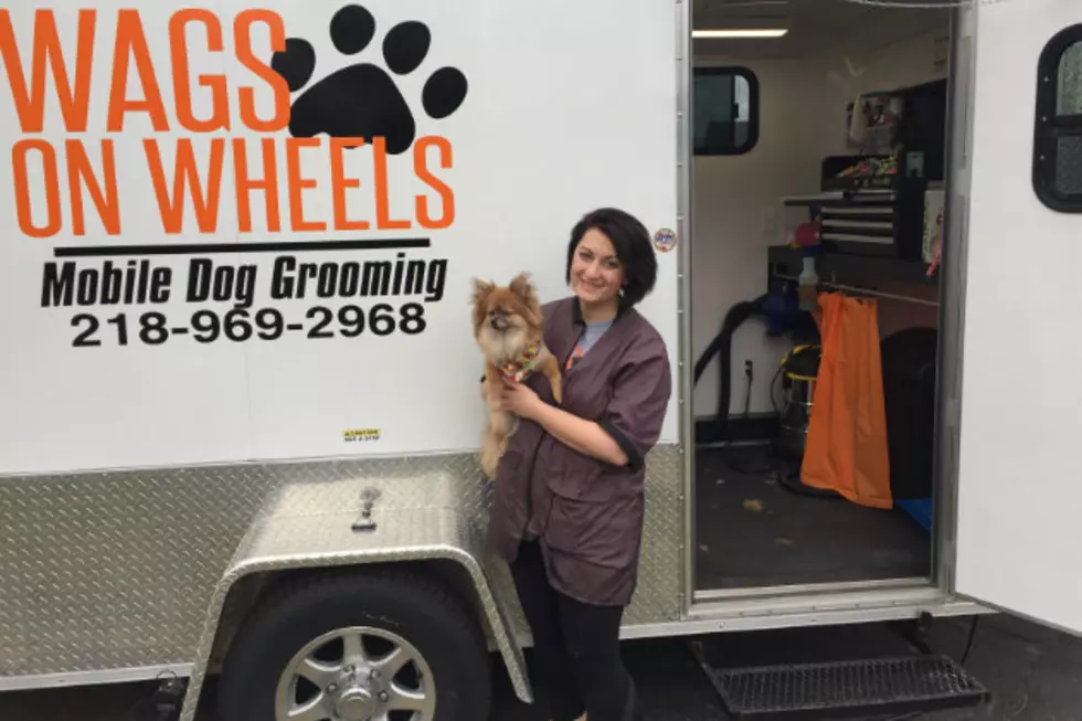 Mobile Dog Grooming Comes to St. Cloud [VIDEO]