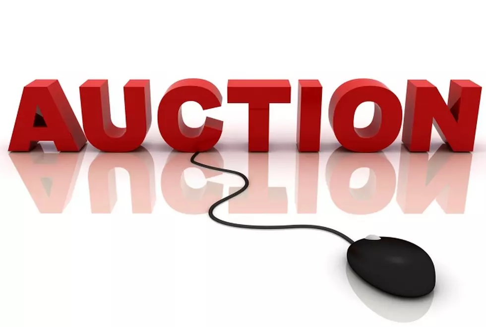Stearns County Holding Seized, Surplus Auction