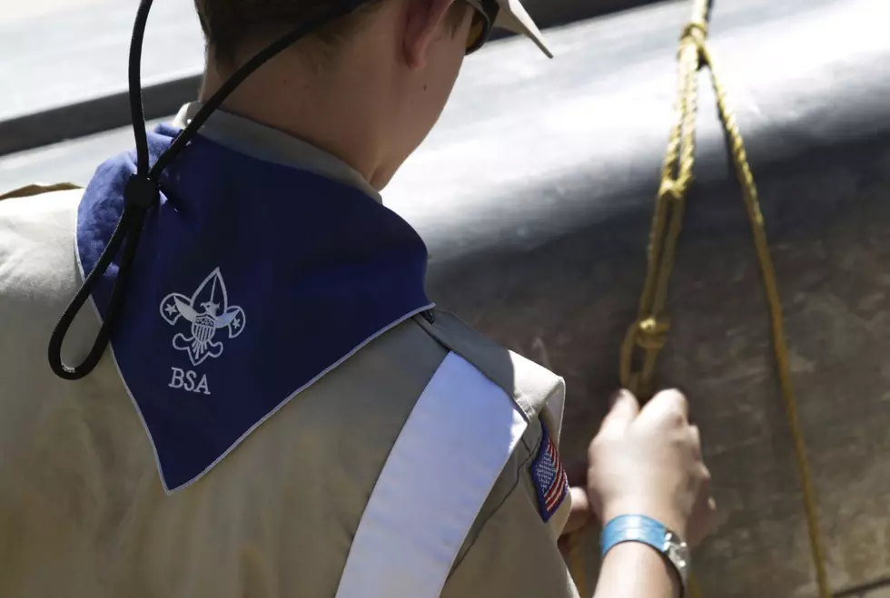 Learn About the Great Outdoors at Scout Fun Day in Clearwater