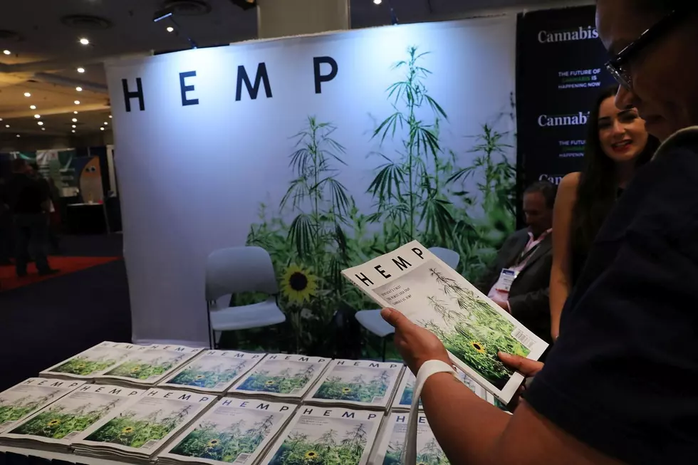 Twin Cities Area Opens First Edible-Hemp Store