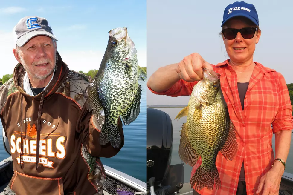 Green Weeds and Summer Crappies