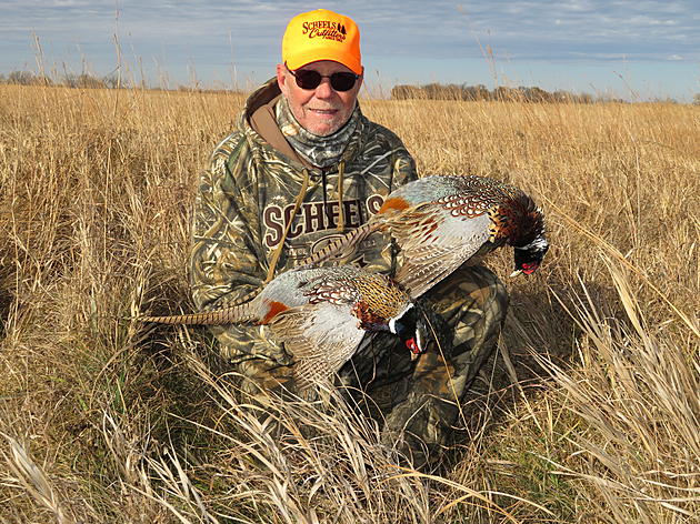 Food and Cover Are Keys to Pheasant Success
