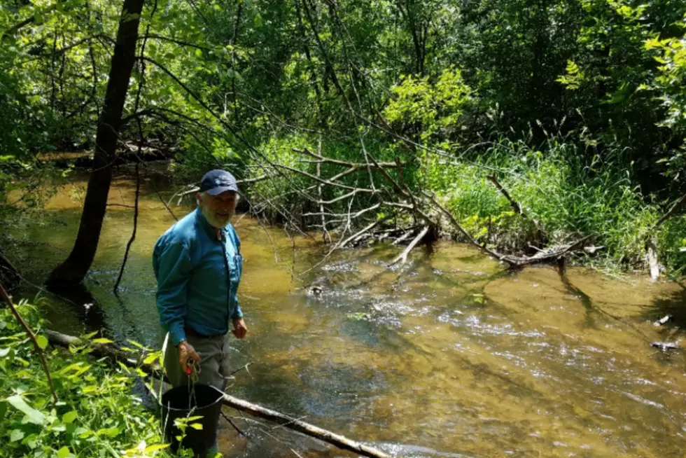 Plum Creek to Come Off Impaired Waters List