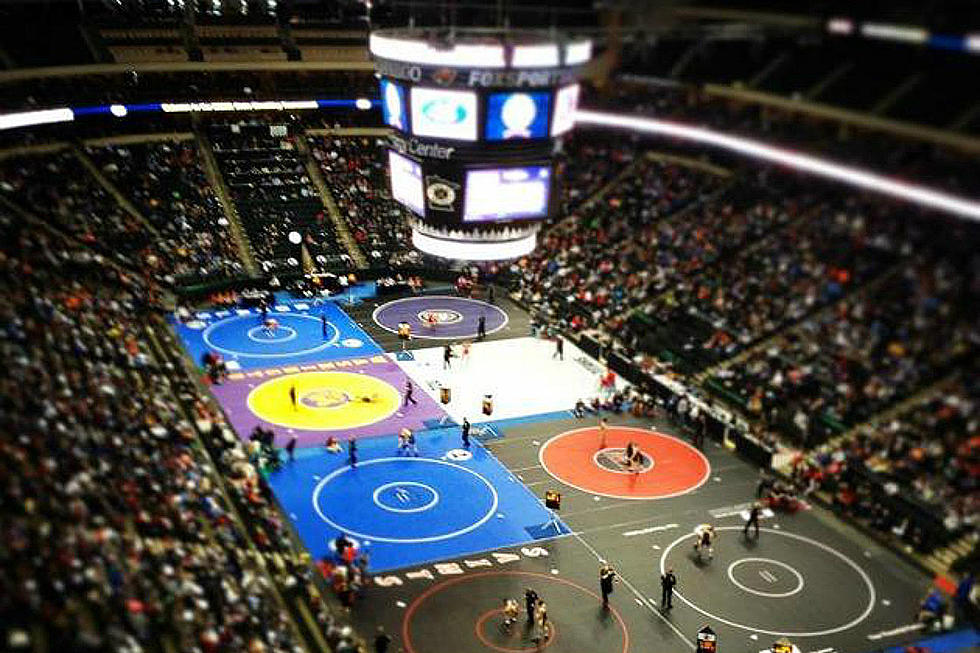 St. Cloud Area Wrestlers Find Success in State Competition