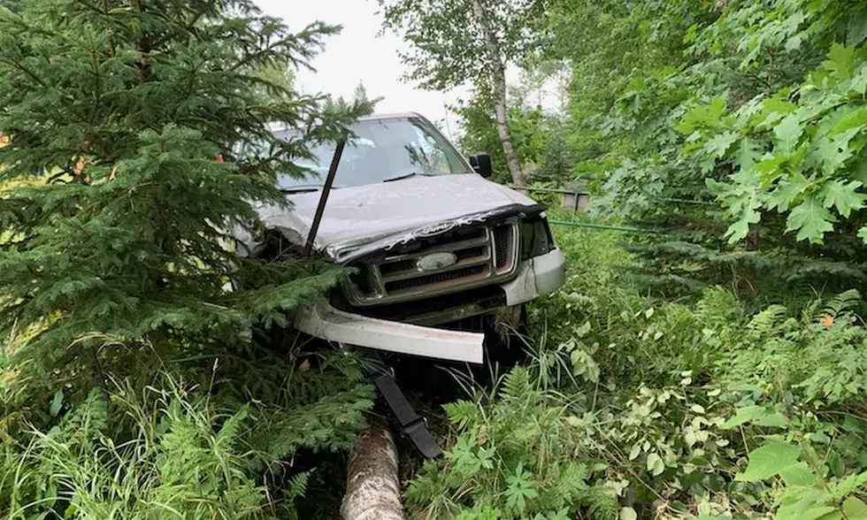Tired Driver Goes Off the Road, Strikes Tree