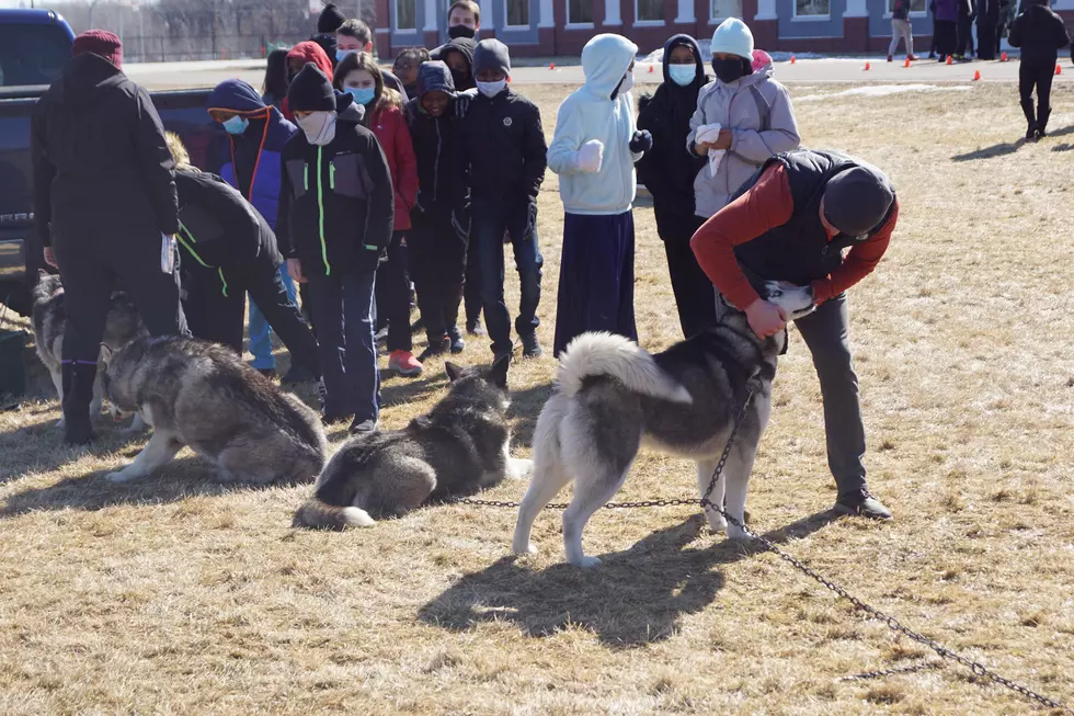 Dog Sled Team Visits Athlos Academy to Wrap Up Winter Spirit Week