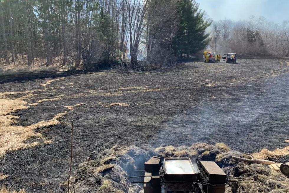 Albany Woman Cited for Causing Grass Fire During Burning Ban