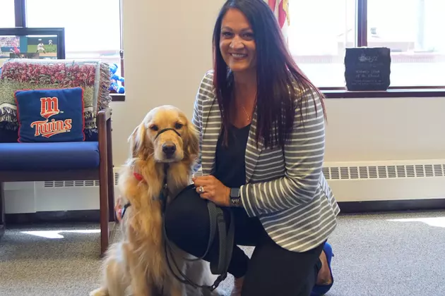 Stearns County Facility Dog Receives State Award