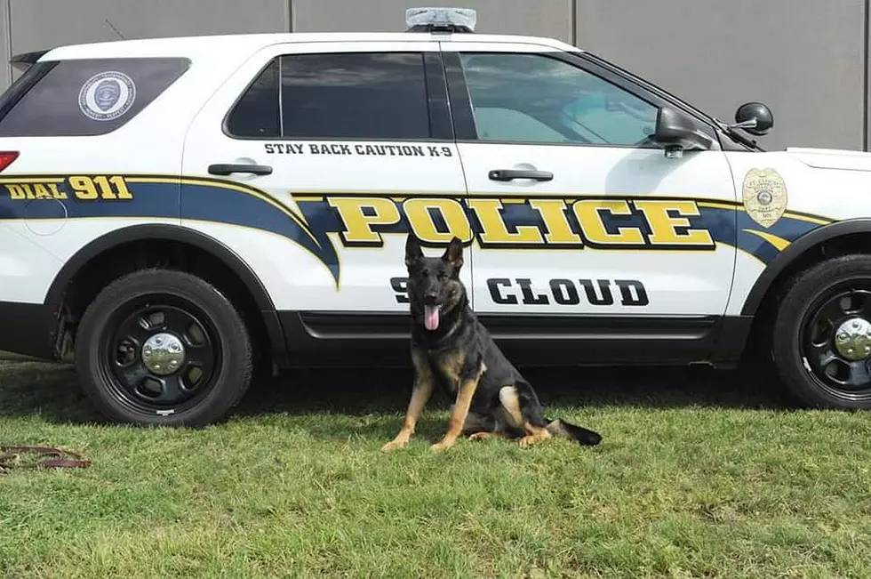 St. Cloud PD Hosting Regional Police Dog Competition
