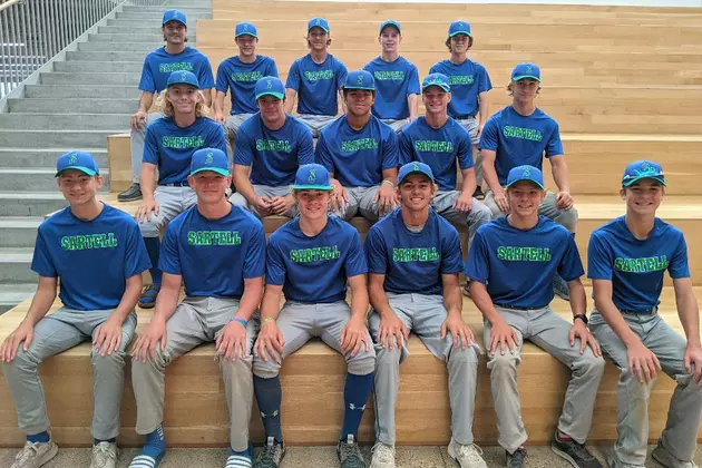Sartell Joins St. Cloud in the VFW State Tourney