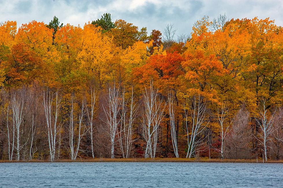 Fall Colors Are Arriving According to DNR Report