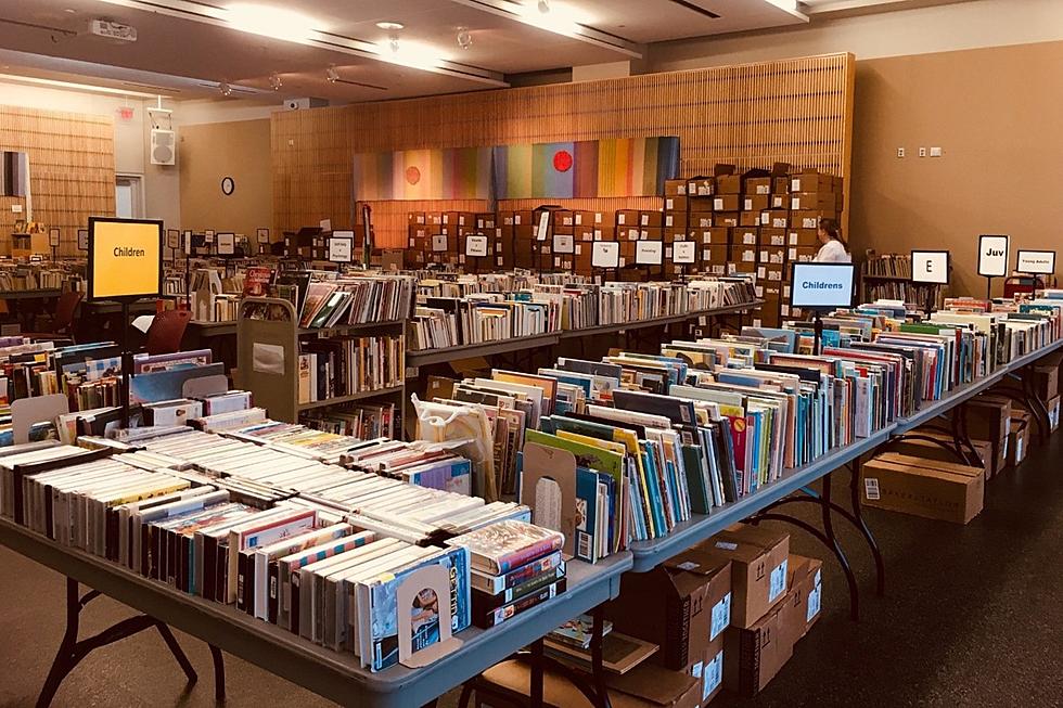 St. Cloud Friends of the Library Holding Annual Bag Book Sale