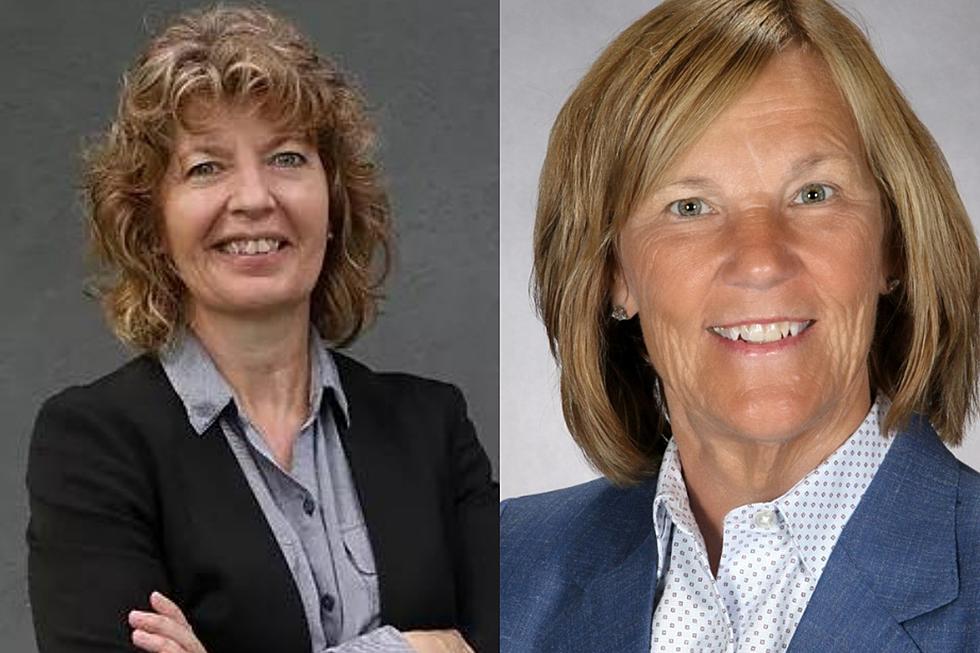 Two Candidates Announce Bid for Minnesota House Seat 14A