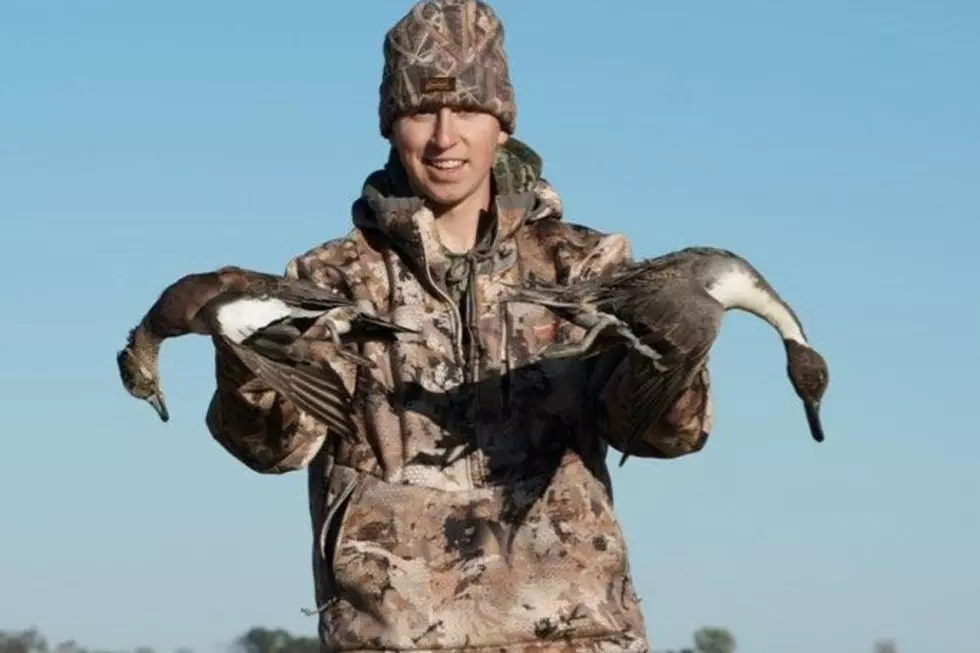 Early Goose, Teal and Bear Hunting Update in Minnesota
