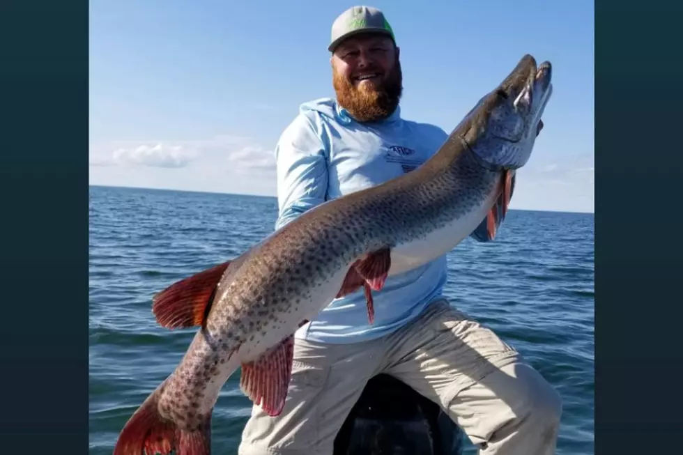 Princeton Man Catches Record Muskie on Lake Mille Lacs