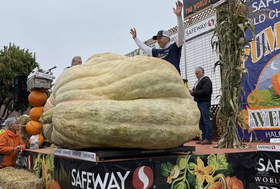 Minnesota Grown Pumpkin Sets North American Record