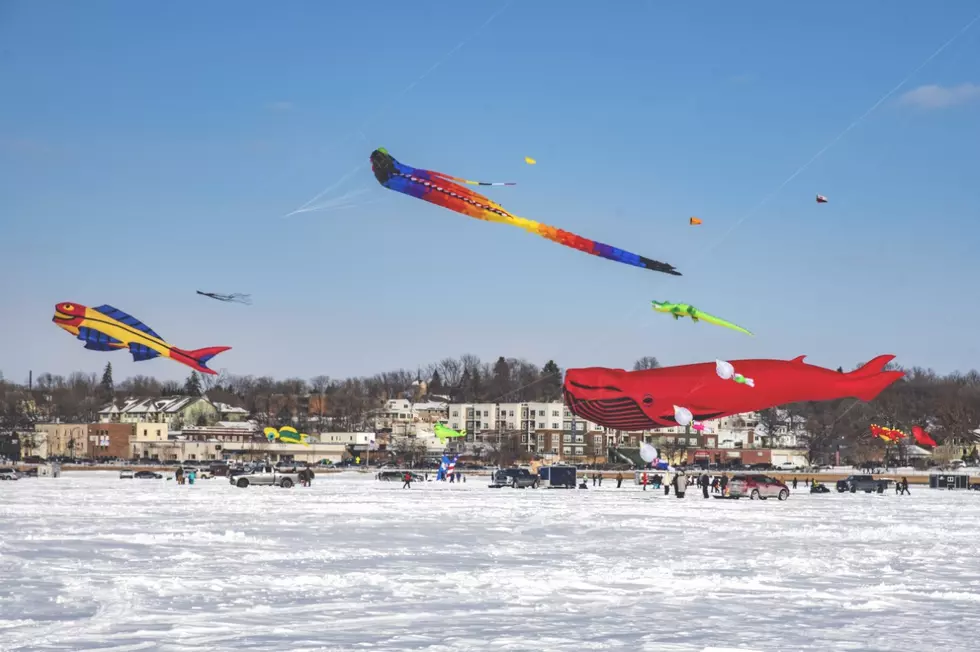 Kites On Display Over Buffalo Lake This Saturday