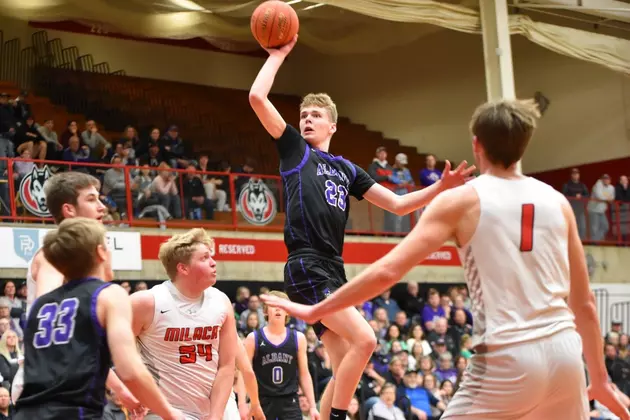 Albany, Eden Valley-Watkins Headed to State Boys Basketball Tourney
