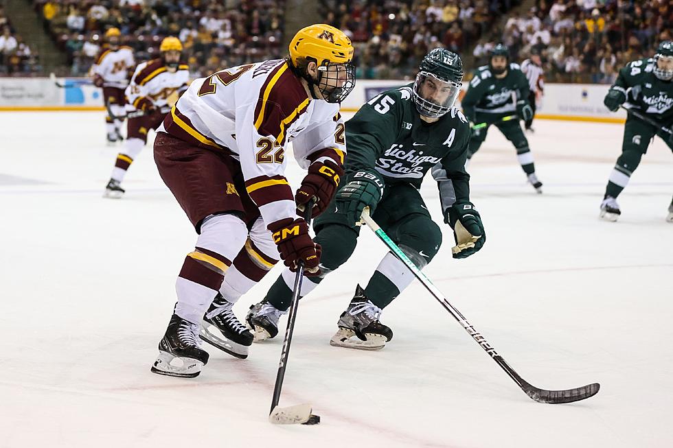 Gophers Advance in Postseason, Huskies Fall to UMD in Game Two