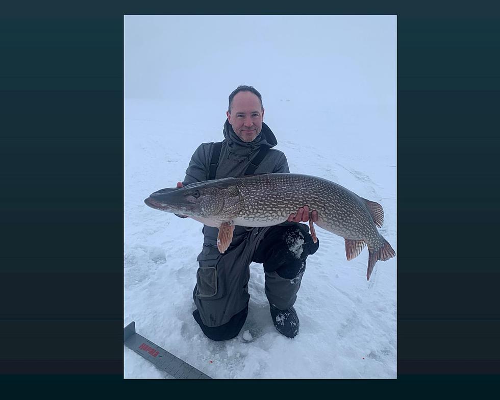 Record-Tying Fish Caught on Mille Lacs Lake