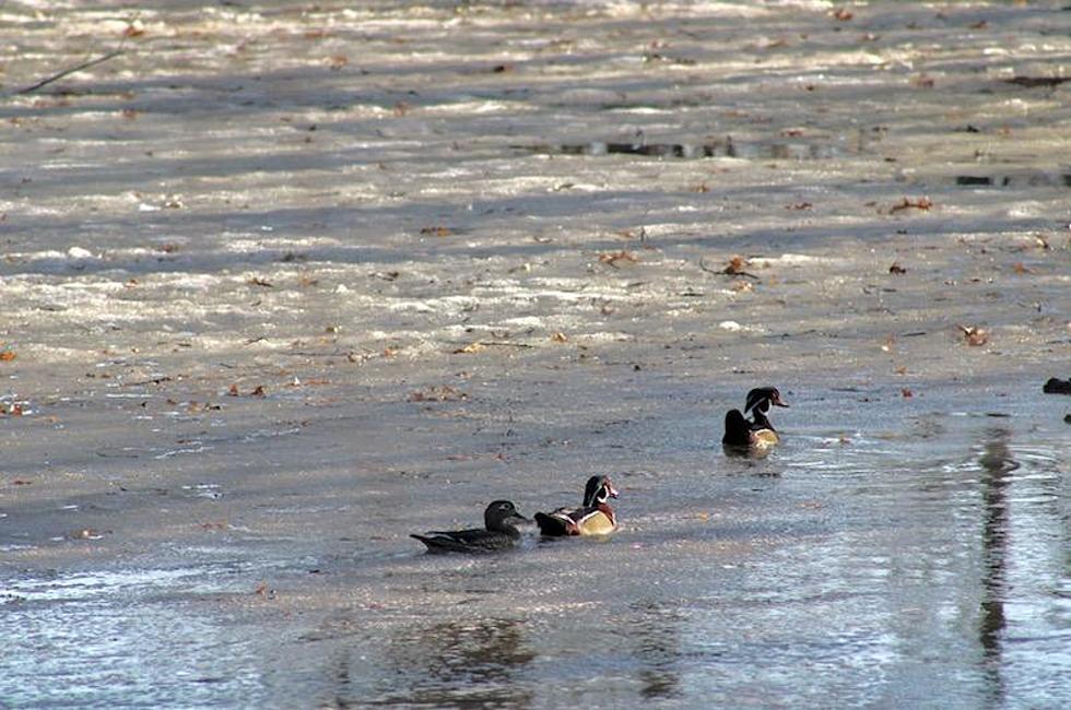 Outdoor News’ Schmitt: Central Minnesota Lakes Looking At Earliest Ice Out