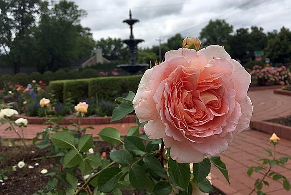 Results Are In: St. Cloud Has One of the Best Botanical Gardens
