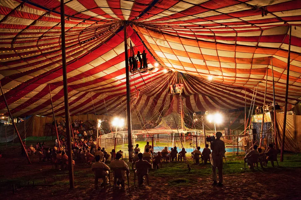 Time To Hit The Big Top This Weekender