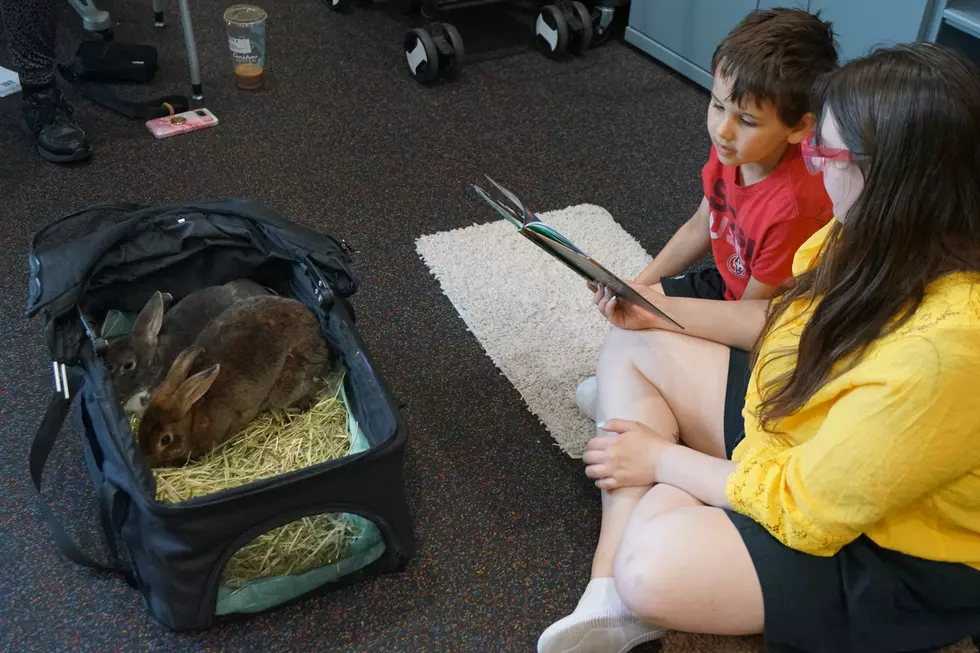Kids Paws To Spend Some Time With Furry Friends