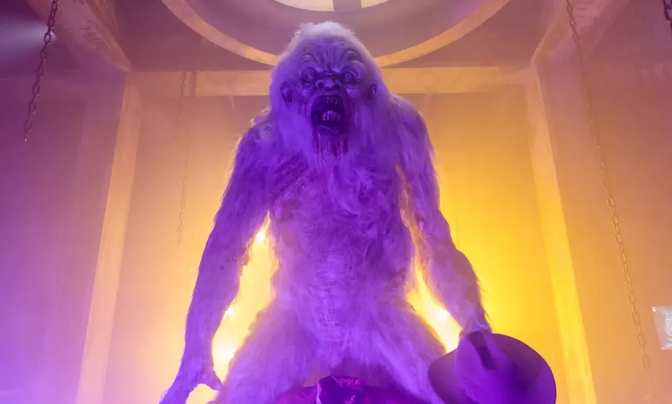 ValleyScare Returns With Spine-chilling Mazes And Scare Zones