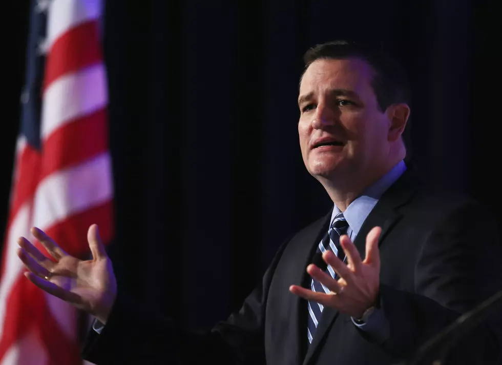 Sen. Ted Cruz For President? National Review's Eliana Johnson Has the Latest [AUDIO]