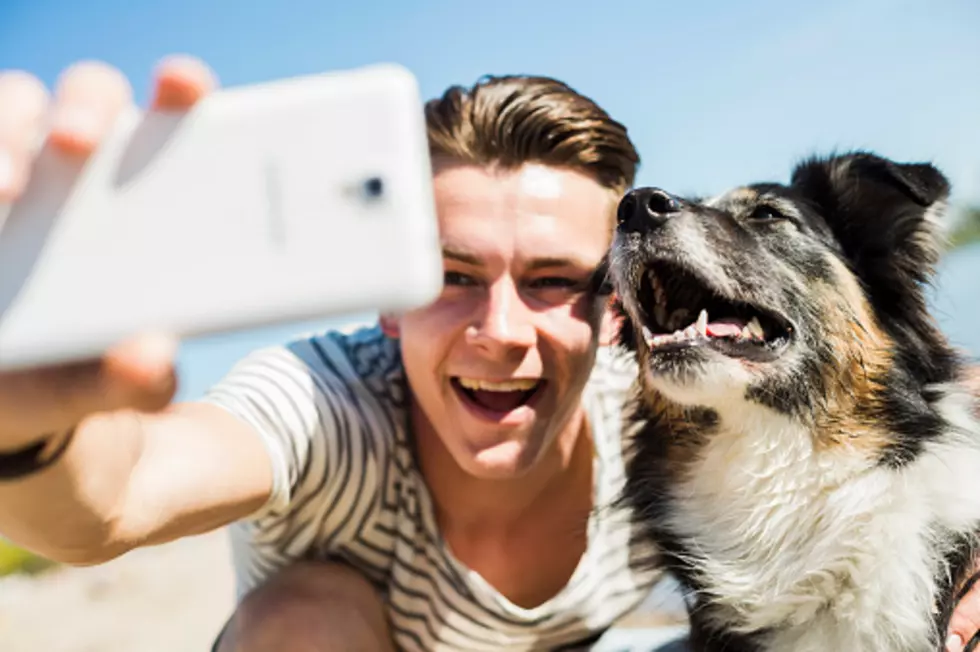 Pooch Selfie Solves Life&#8217;s Greatest Problem 