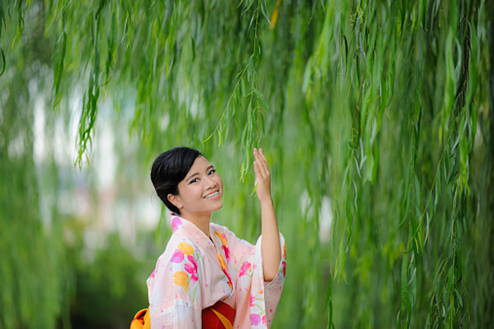 Don’t Miss the Japanese Summer Festival This Weekend at Anderson Japanese Gardens