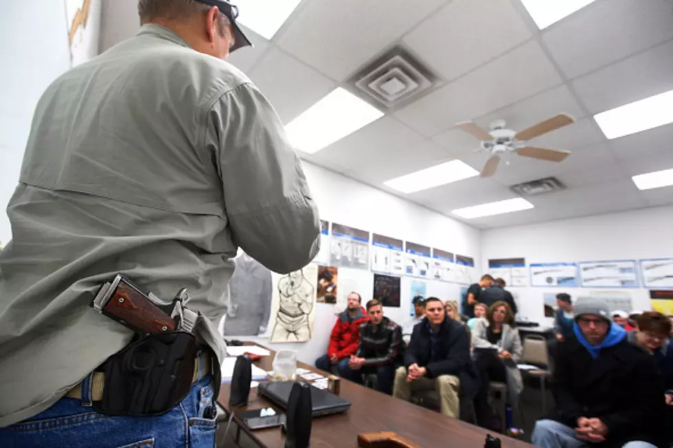 A Look at Concealed Carry Numbers in Illinois