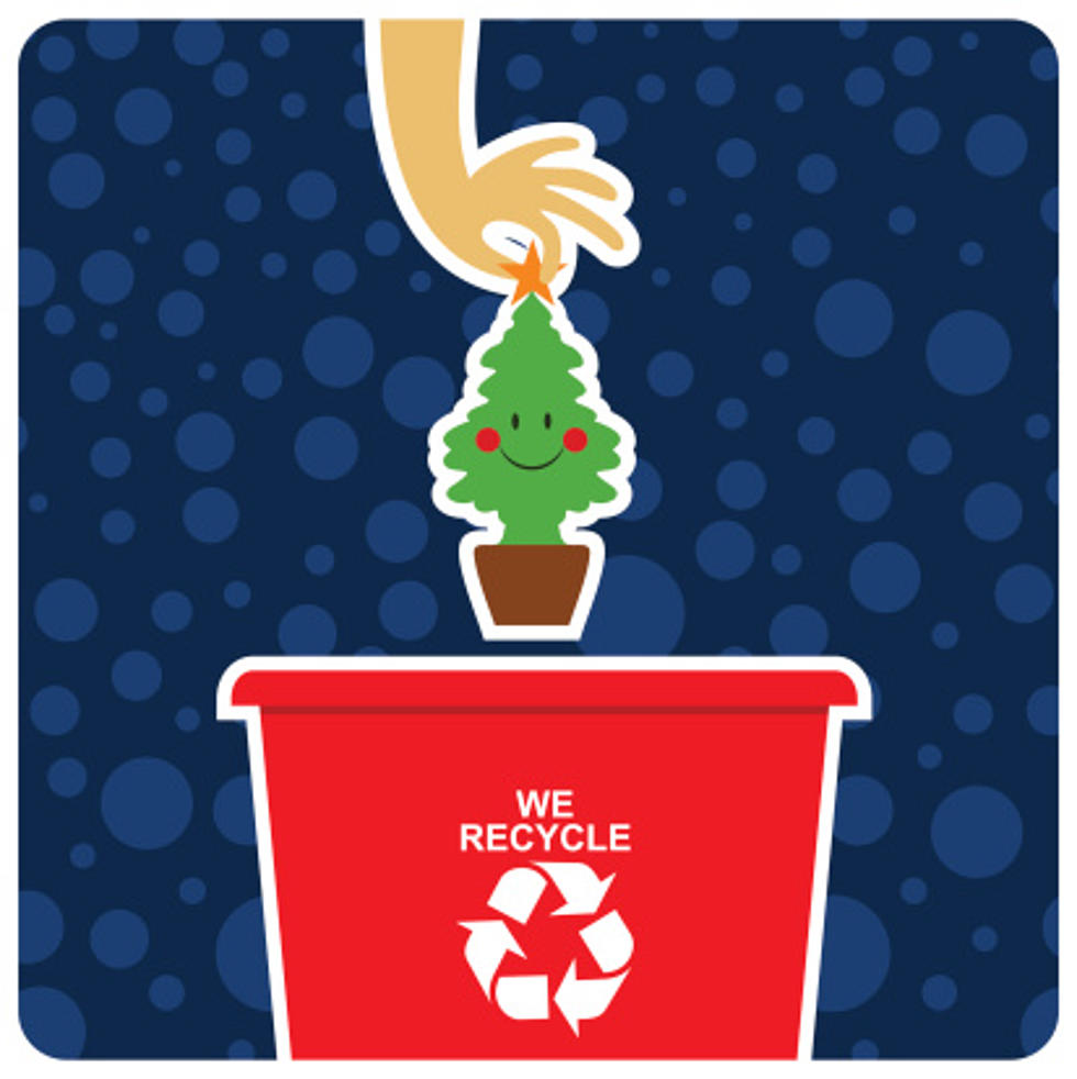 Hey Rockford, You’ve Still Got This Week to Recycle Your Christmas Tree