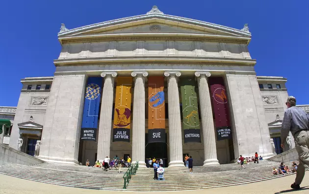 Chicago&#8217;s Field Museum Is Free For Illinois Residents In February.