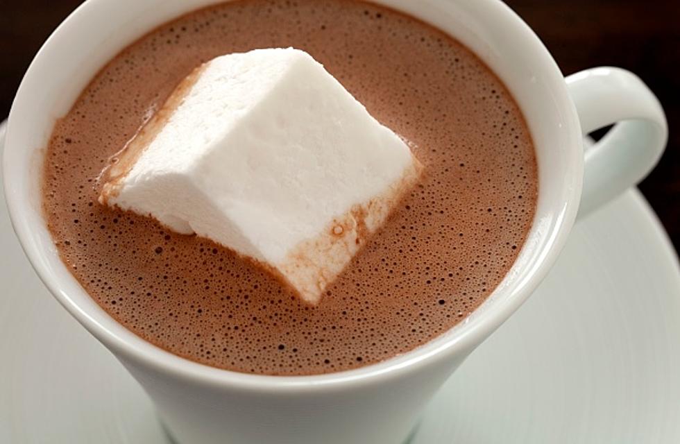 Rockford is Not Far From America&#8217;s Best Hot Chocolate