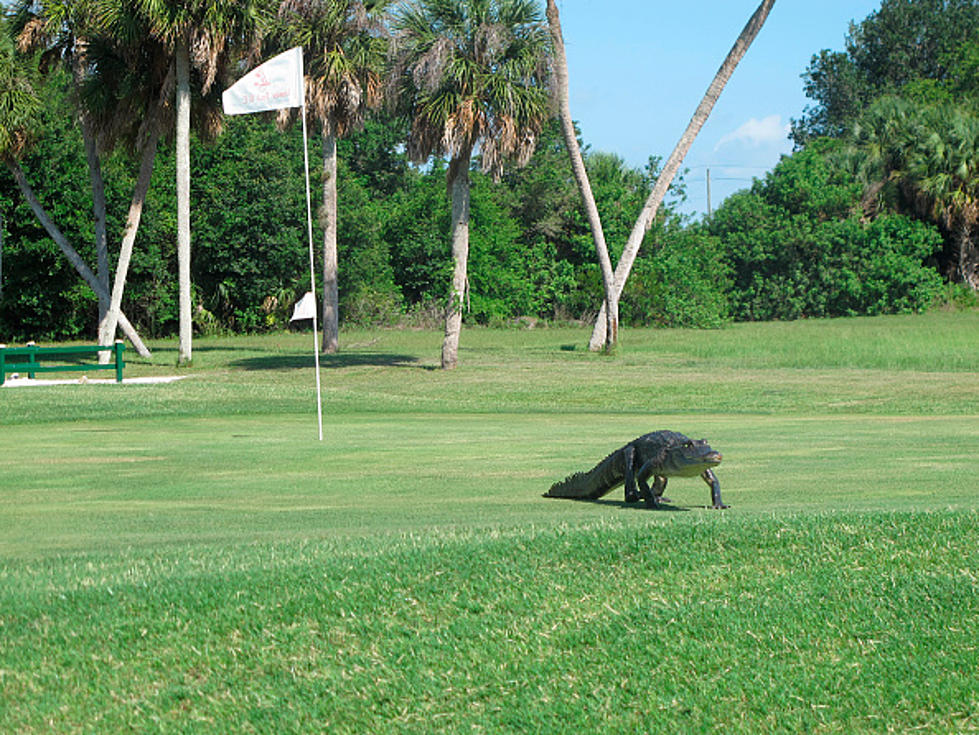4 Reasons Why Golf in Rockford is Better Than Golf in Florida