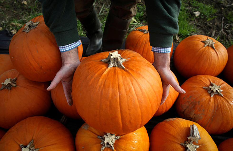 It's National Pumpkin Day, and Illinois is the King of Pumpkins