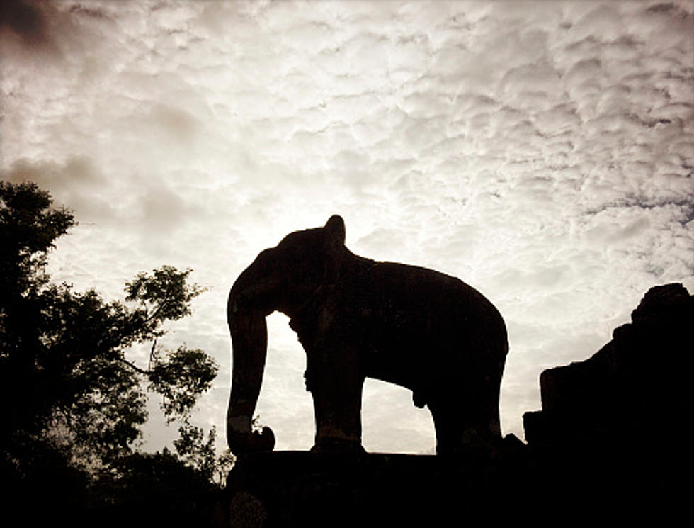 Vandal Destroys Northlake, Illinois Elephant Landmark