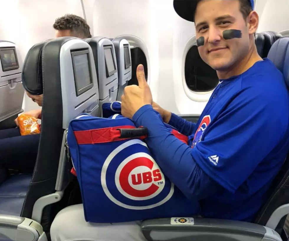 Anthony Rizzo Gets New Puppy. Gives It An…. Interesting Name