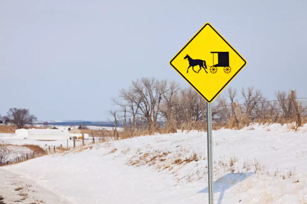 Amish Man Takes Buggy-Skiing Joyride in Minnesota