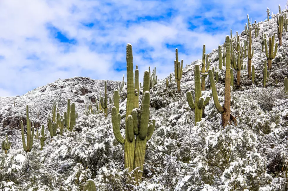Record-Breaking Snowfall Leaves Arizonans Confused