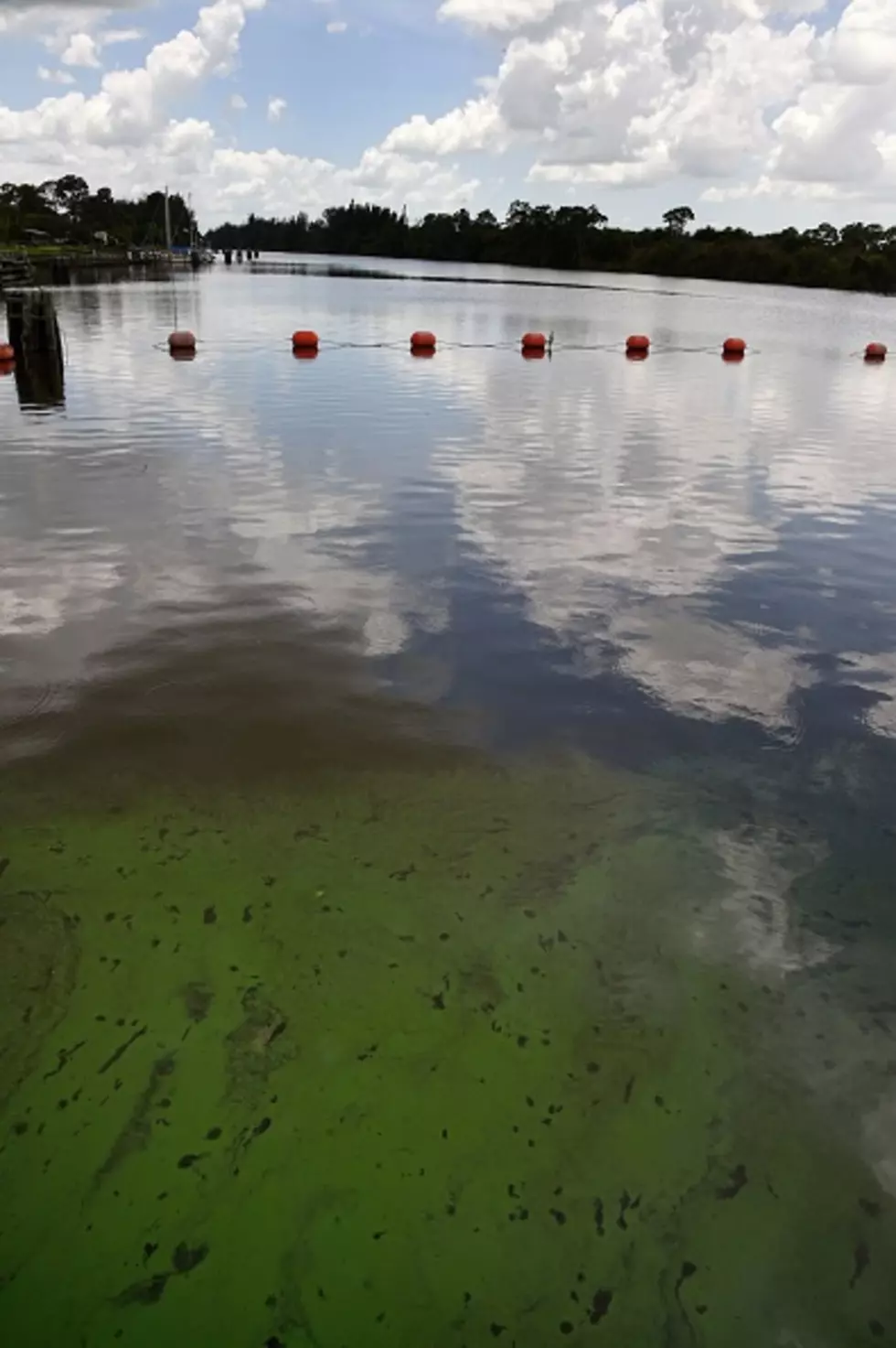 Illinois Officials Still Urging Caution With Blue-Green Algae