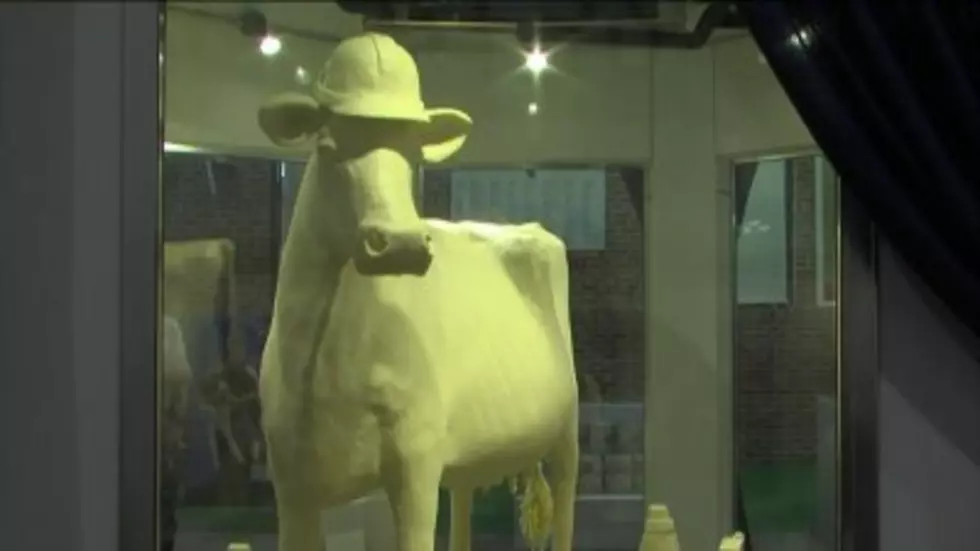 Illinois State Fair Shows Off 800 Pound Butter Cow
