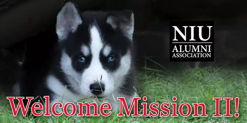 NIU Introduces An Addition To The Huskie Family