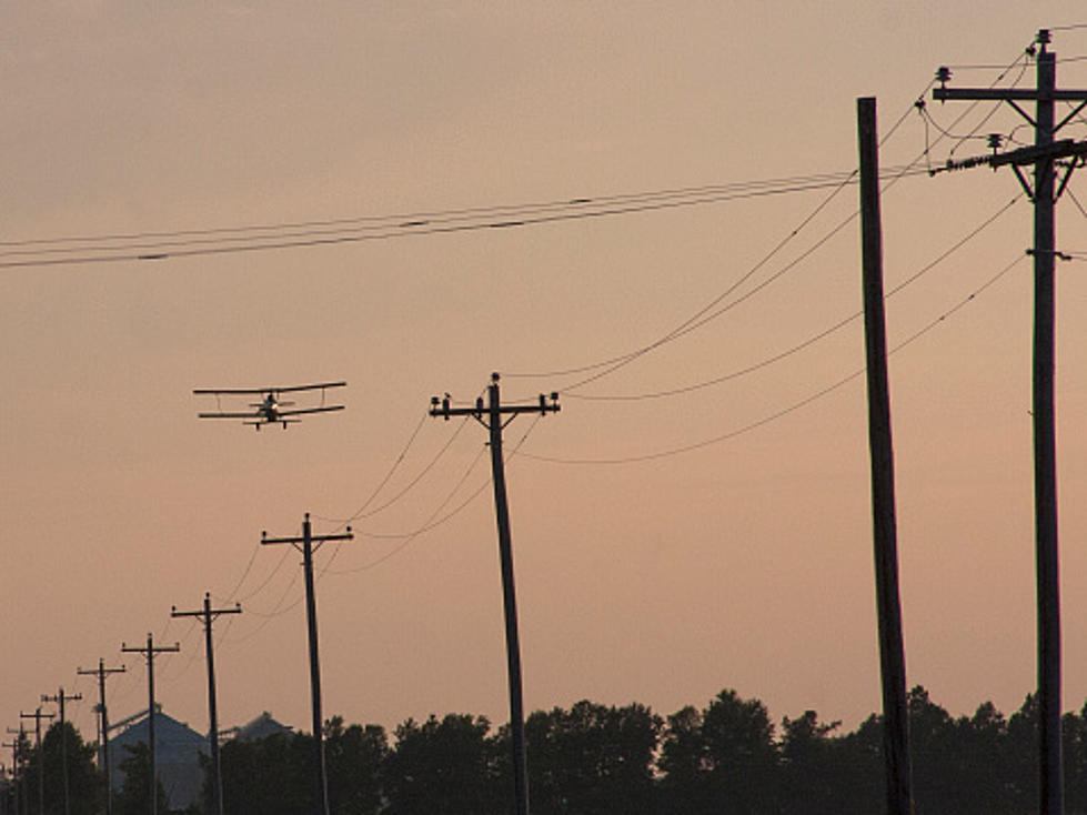 Minnesota Pilot Rescued From Plane Dangling In Power Lines