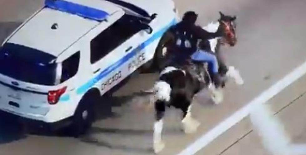 It's 2020 So Here's A Horse Running Down The Dan Ryan