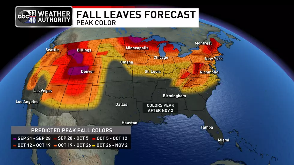 We Have Our First ‘Fall Leaves’ Forecast