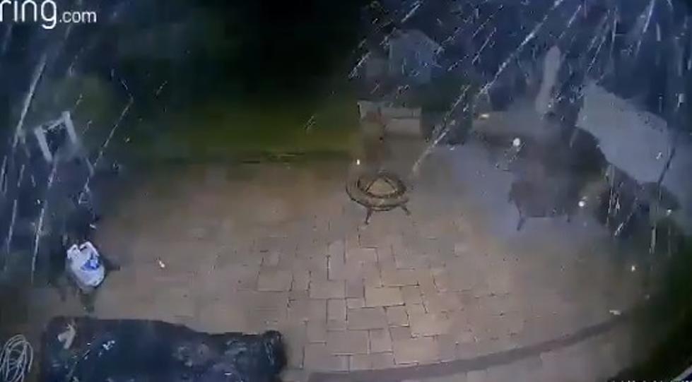 Naperville Backyard Destroyed In Video Caught By Doorbell Camera
